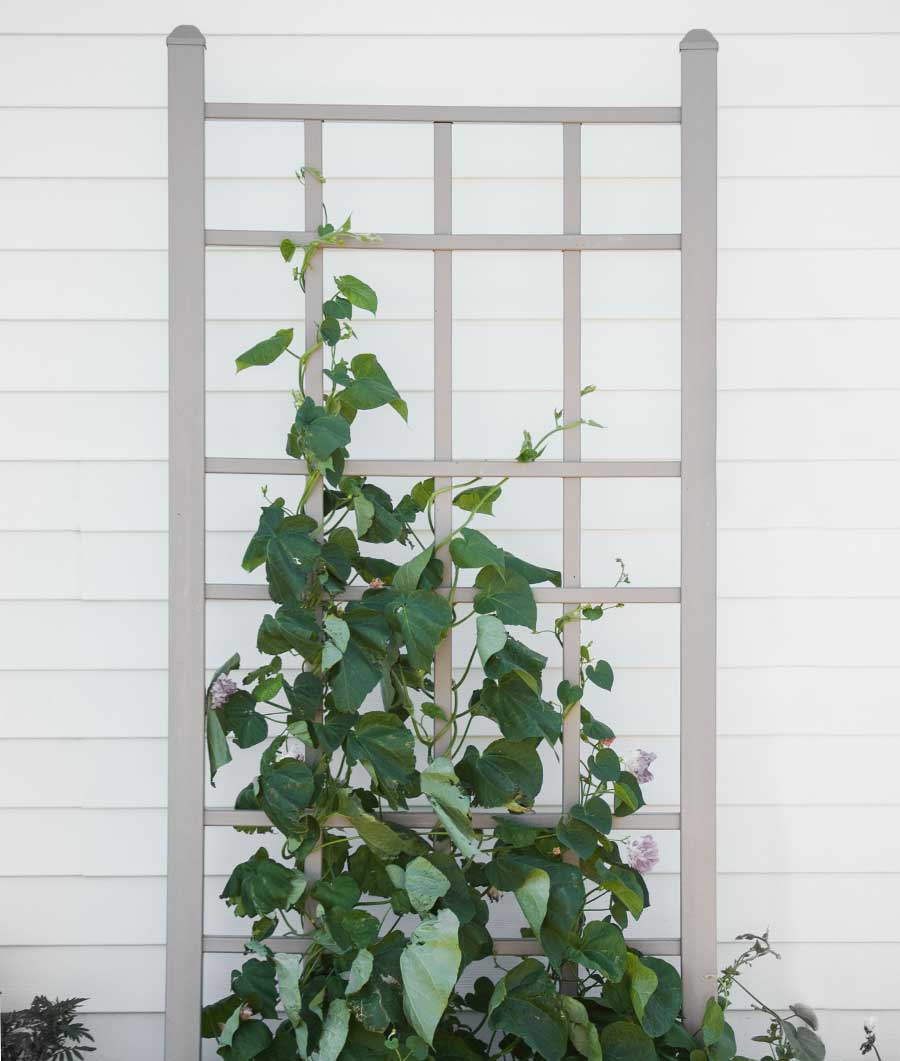 Cottage Trellis