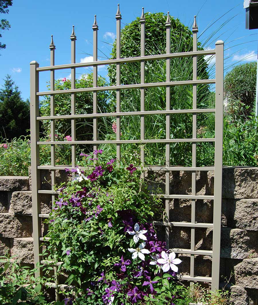 Winchester Trellis