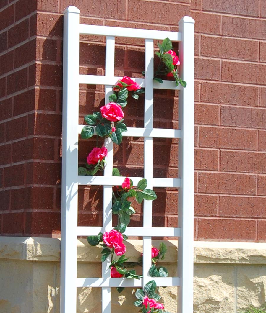 Elmwood Trellis