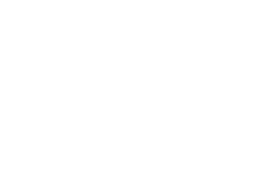 Gallery Camera Icon